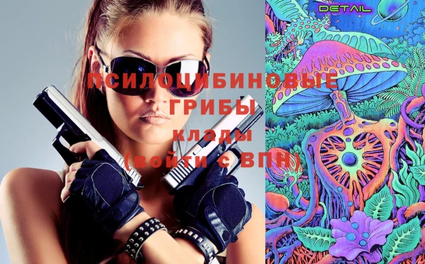 a pvp Козловка