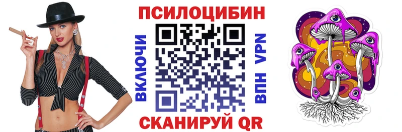 Псилоцибиновые грибы Psilocybe  Купить  Стерлитамак 
